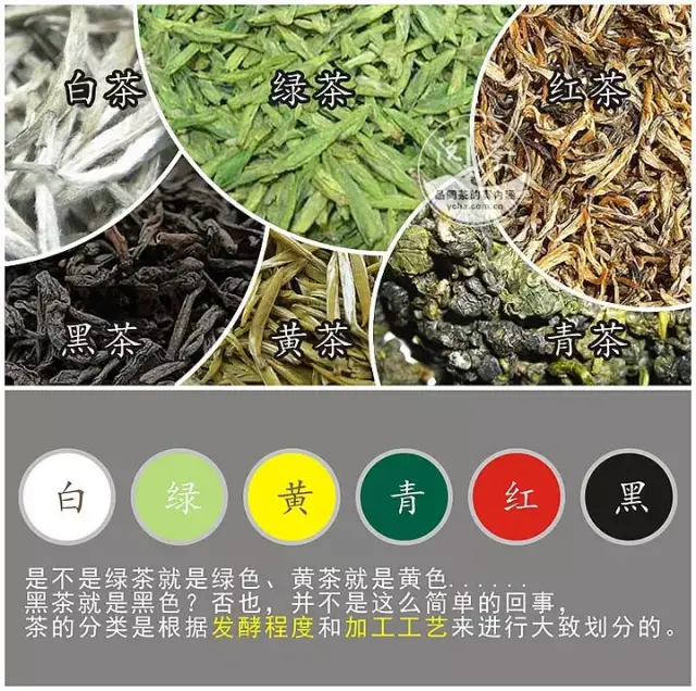 茶类划分