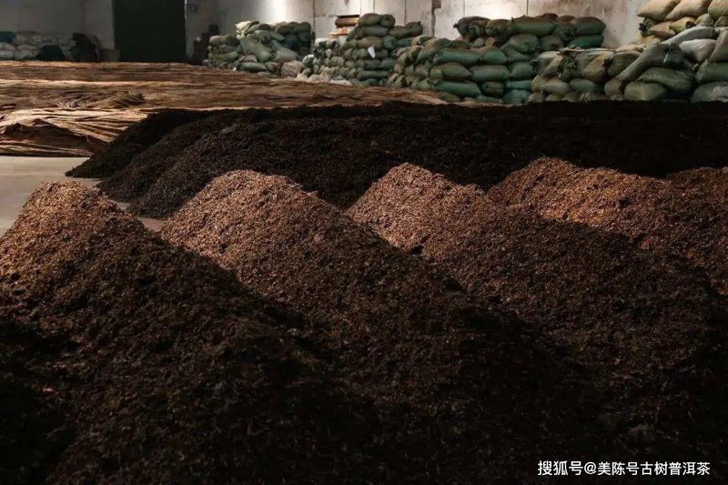 普洱茶与绿茶：探索它们的不同世界