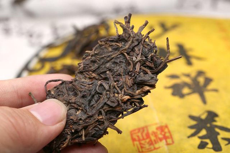 普洱茶与绿茶：一场口感的邂逅