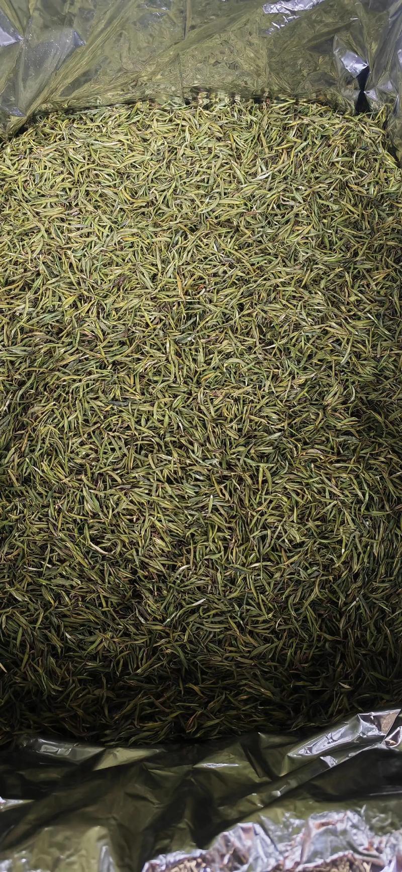 普洱茶与绿茶的区别：从风味到历史的不同旅程
