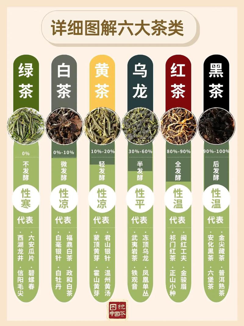 普洱茶与绿茶：一场关于茶叶的误会