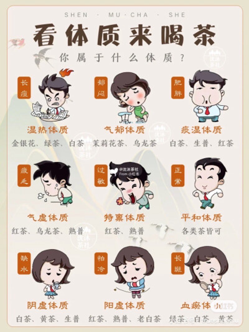 普洱茶与绿茶的区别：探秘生普洱是否属于绿茶的争议