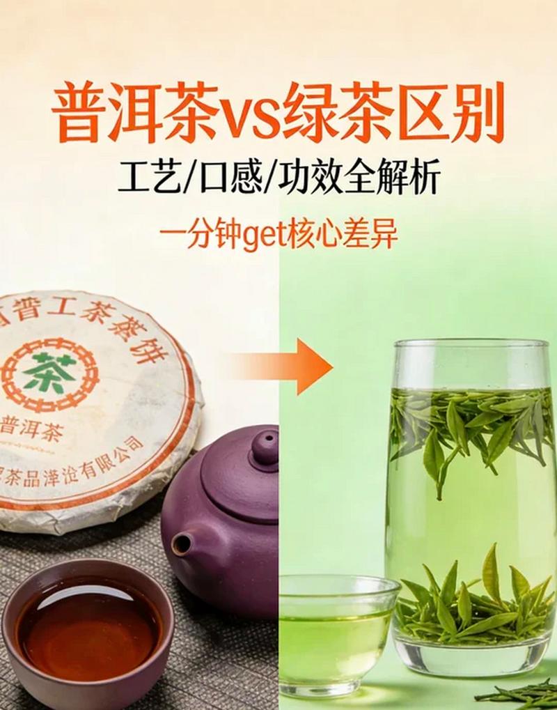 普洱茶属于绿茶吗